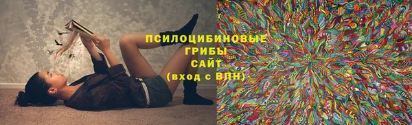 apvp Алзамай