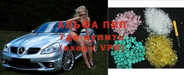 apvp Алзамай