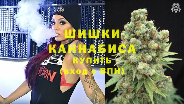 прущие грибы Заволжск