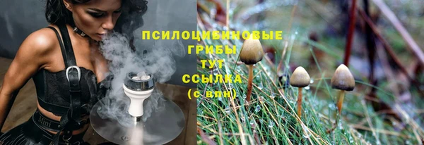 кокс Алексин