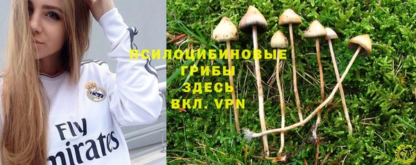 Альфа ПВП Абаза