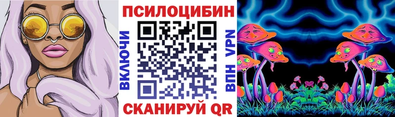 купить  цена  Котовск  Псилоцибиновые грибы Psilocybe 