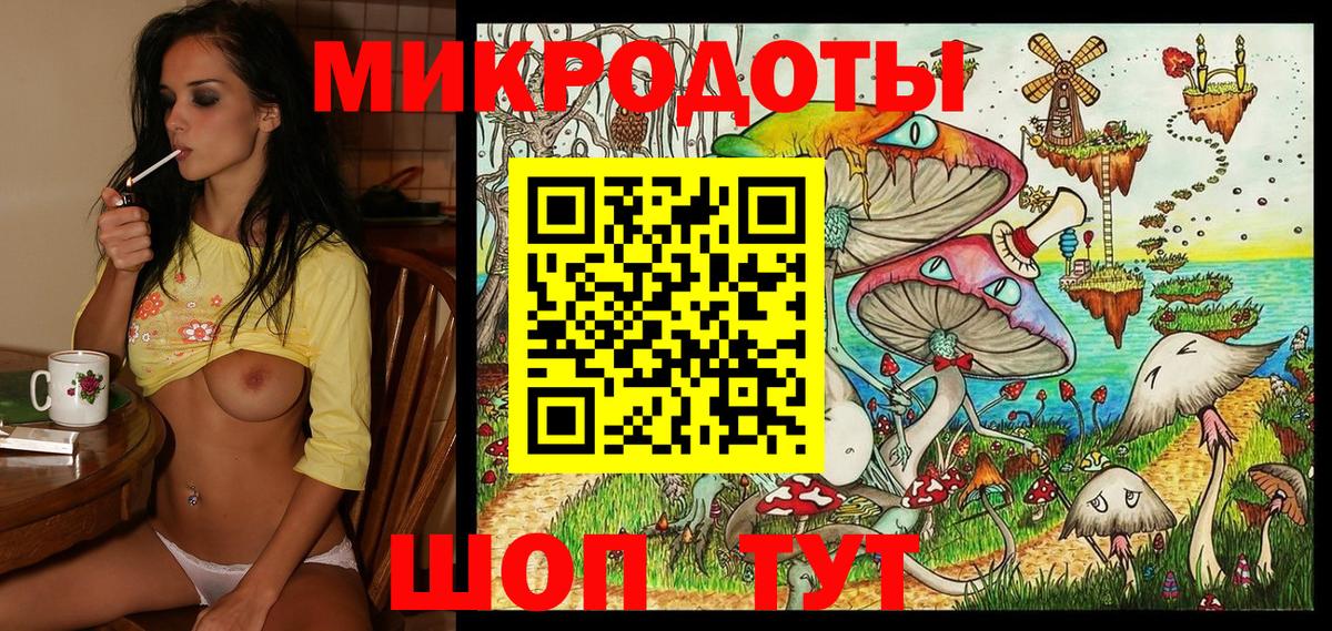 Галлюциногенные грибы Psilocybine cubensis Котовск