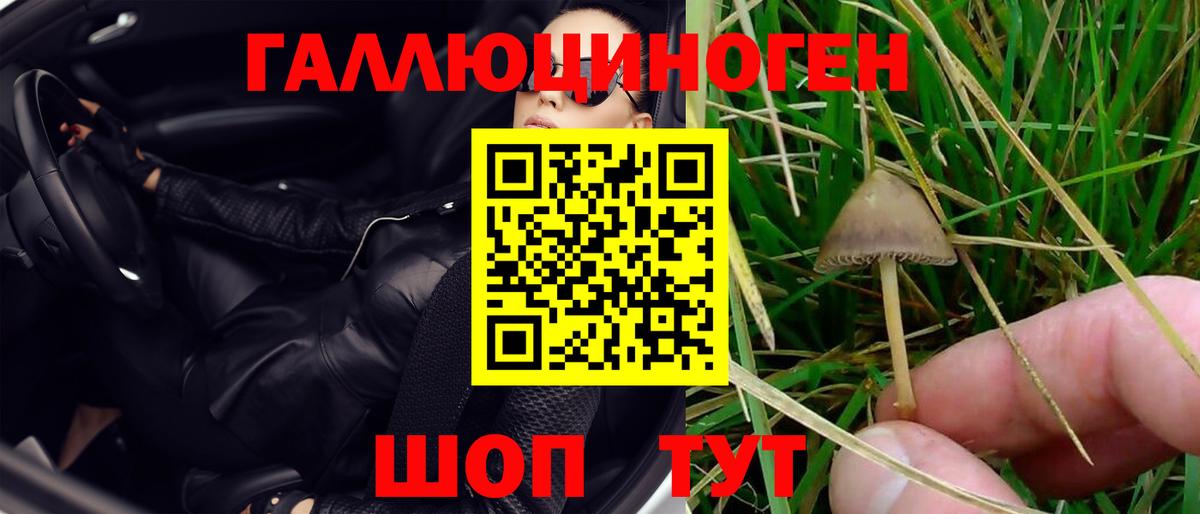 Псилоцибиновые грибы GOLDEN TEACHER  Псилоцибиновые грибы GOLDEN TEACHER  Котовск  Вход с VPN 